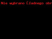 Grzejnik pokojowy Tesi 3 - IRSAP_1